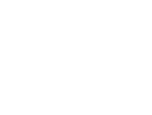 Basketball icon