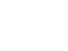 Pole icon